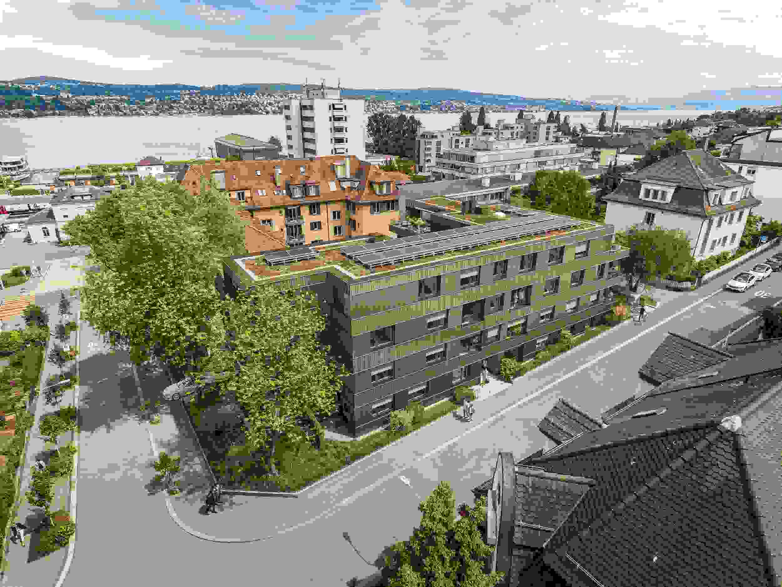 renggerstr_aussen_vogel.jpg